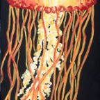 Sea Nettle 2low Res