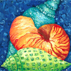 Seashells