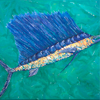 Sail Fish