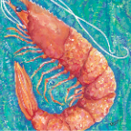Shrimp small