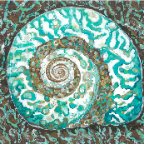 turban shell low res