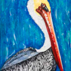 Pelican thumbnail