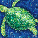 green sea turtle