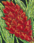 Ginger flower small