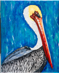 Pelican
