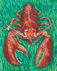 Lobster