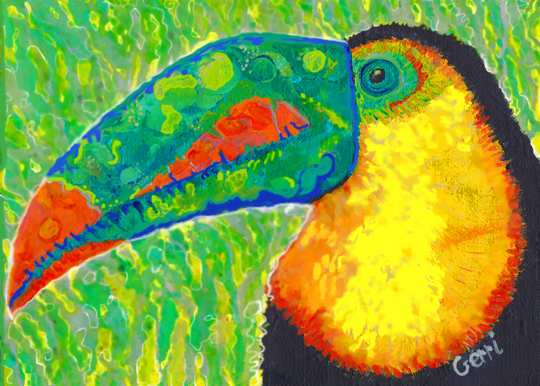 Toucan