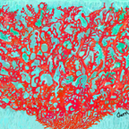 RC1620C  red coral.jpg