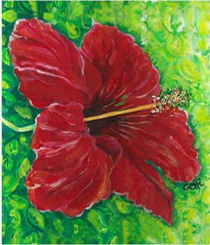 Hibiscus