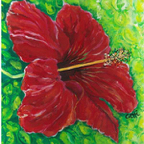 Hibiscus