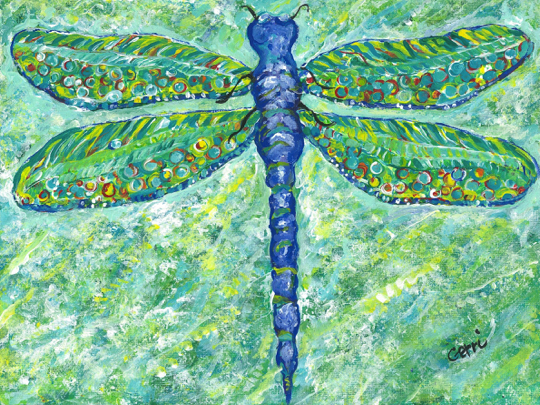 Dragon Fly B