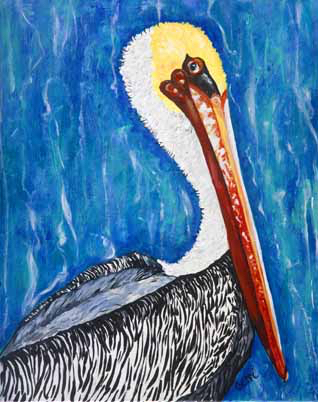 Pelican