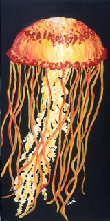 Sea Nettle