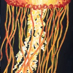 Sea Nettle 2low Res