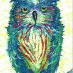 Colorful Owl 1