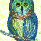 Colorful Owl 2