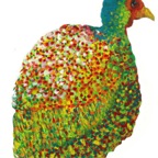 Hen2