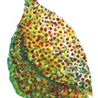 guinea hen tea towel
