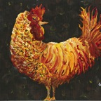 Chicken B brown 10-12