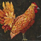 chicken A brown 10-12