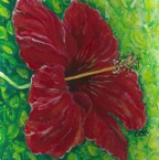 hibiscus low res